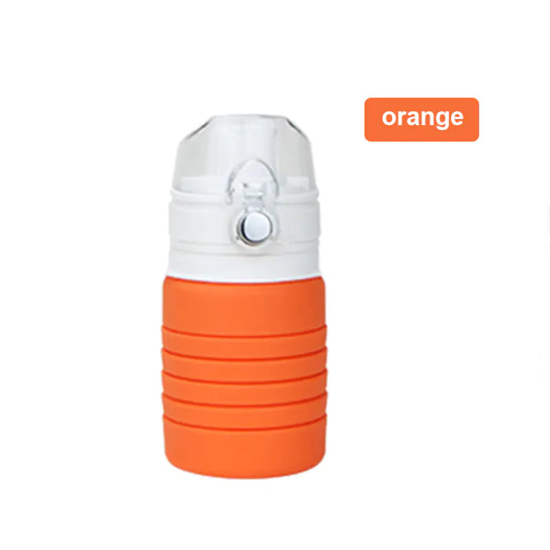 Collapsible Silicone Water Cup and Sports Bottle